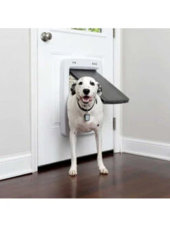 Porte Connectée SmartDoor Petsafe 14 Porte Connectée SmartDoor Petsafe -Nature Dog Promos Boutique porte connectee smartdoor petsafe habitacle animal 5