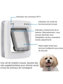 Porte Connectée SmartDoor Petsafe 17 Porte Connectée SmartDoor Petsafe -Nature Dog Promos Boutique porte connectee smartdoor petsafe habitacle animal 8