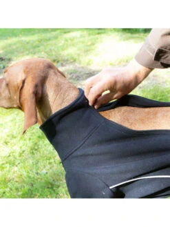 Pull Pour Chien Cassie Back On Track -Nature Dog Promos Boutique pull pour chien cassie back on track 3