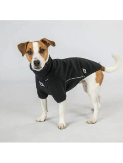 Pull Pour Chien Cassie Back On Track -Nature Dog Promos Boutique pull pour chien cassie back on track 4