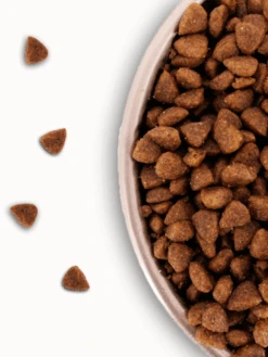 Croquettes Puppy 30/22 Nature Dog 4kg -Nature Dog Promos Boutique puppy 3022 nature dog 4kg alimentation chien 2