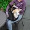 Sac De Transport Chien Explorer Kurgo