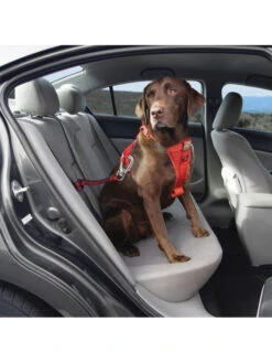 Kurgo Sangle D'attache De Sécurité Swivel Pour Chien -Nature Dog Promos Boutique sangle d attache de securite swivel pour chien 2