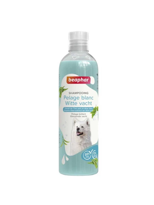 Shampoing Essentiel Pelage Blanc Chien 250ml Beaphar 1 Shampoing Essentiel Pelage Blanc Chien 250ml Beaphar