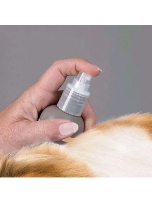 Shampoing Sec Premium Pour Chien 200 Ml Beaphar 1 Shampoing Sec Premium Pour Chien 200 Ml Beaphar