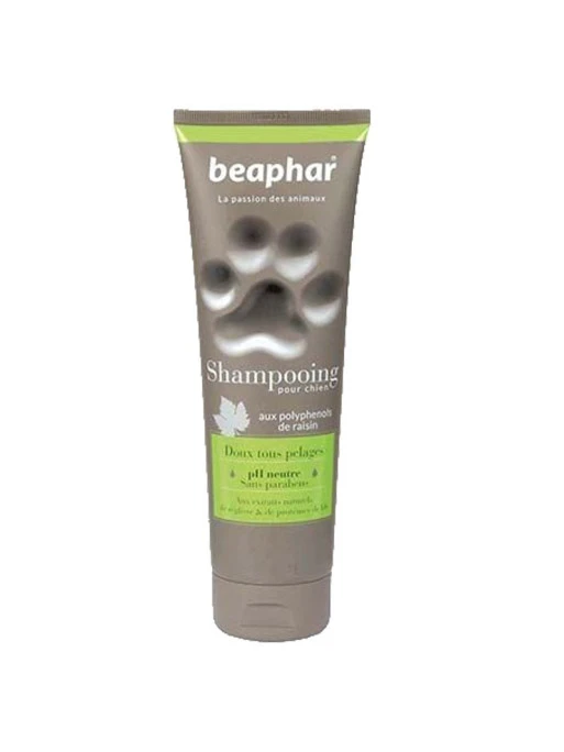 Shampooing Doux Pour Chiens Tous Pelages Premium Beaphar 1 Shampooing Doux Pour Chiens Tous Pelages Premium Beaphar