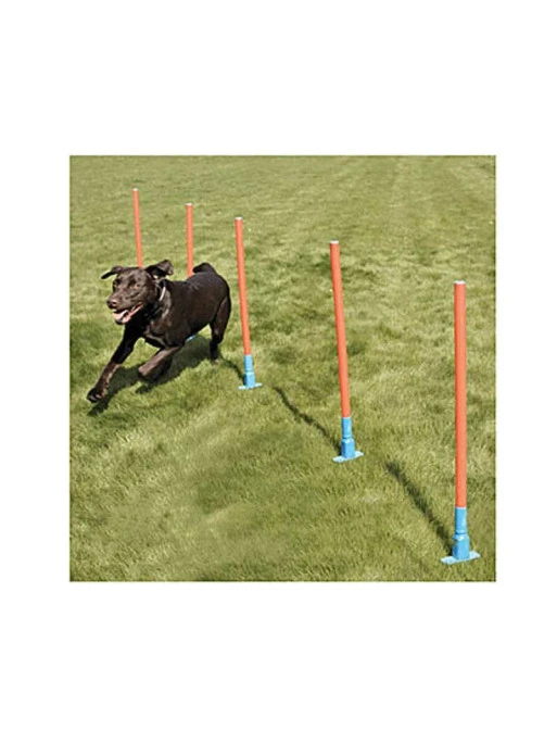 Rosewood Slalom Agility Garden 1 Rosewood Slalom Agility Garden