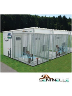 Système Sentinelle - Anti-aboiement Par Jet D'eau -Nature Dog Promos Boutique systeme sentinelle anti aboiement par jet d eau 2