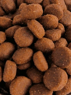 Croquettes Taïga 28/20 Nature Dog 15 Kg 9 Croquettes Taïga 28/20 Nature Dog 15 Kg -Nature Dog Promos Boutique taiga 2820 nature dog 15 kg 3