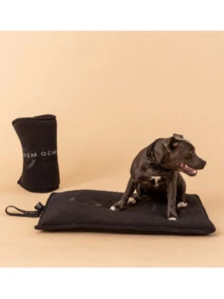 Tapis Nomade Pour Chien 40x60 GEM -Nature Dog Promos Boutique tapis nomade pour chien 40x60 gem habitat chien 2