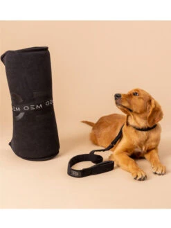 Tapis Nomade Pour Chien 60x80 GEM