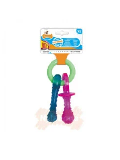 Tétine Pour Chiot Pacifier Chew Nylabone