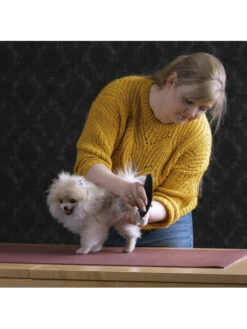 Tondeuse De Finition Prima Moser